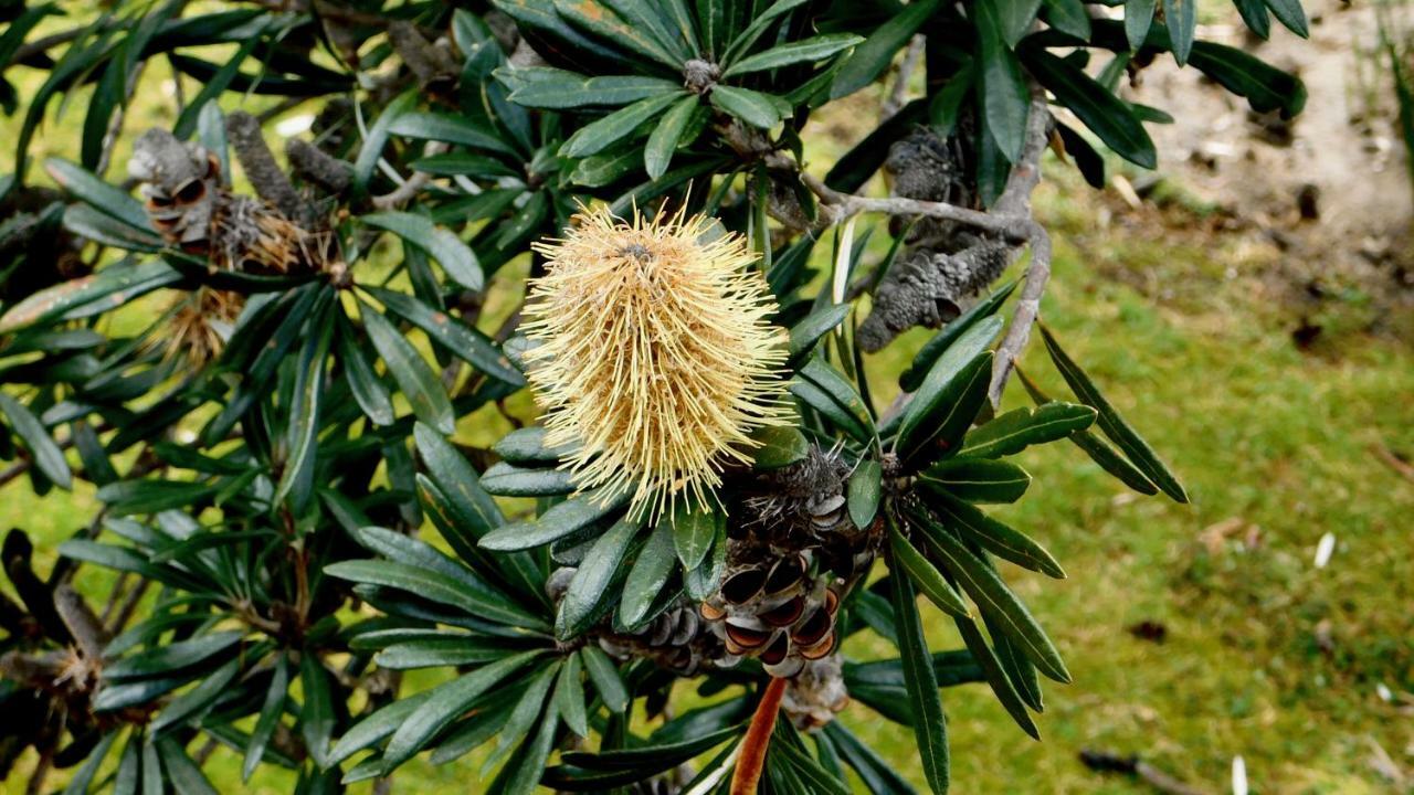 Апартаменты 43 Degrees Bruny Island Adventure Bay Экстерьер фото